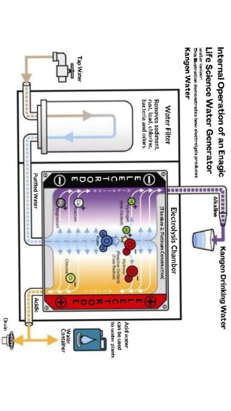 Kangen, ye sabhi tarah ki bimariyon ko dur karne me fayde mand sabit huaa hai result ke sath Kangen Water Machine, Water Ionizer, Health And Wealth, Kangen Water, Water Machine, Change Your Life, Japan, Health, Water