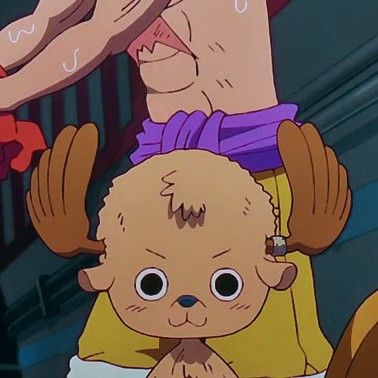 Chopper Without Hat, Choppa One Piece, Tony Tony Chopper Cute, Copper One Piece, Tony Tony Chopper Icon, Chopper Cute, Chopper Pfp, Cute Chopper, Chopper Cosplay