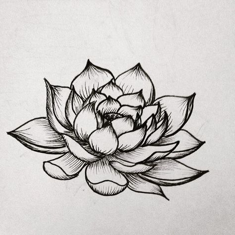 Herren Hand Tattoos, Lotus Drawing, Lotus Tattoo Design, Geniale Tattoos, Tattoo Design Book, Lotus Tattoo, Family Tattoos, Flower Tattoo Designs, Design Tattoo