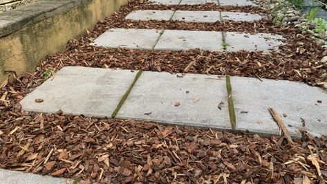 How to put mulch between stepping stones | Success Tips - Eco Family Life Pavers On Mulch, Pavers In Mulch, Paver Walkway With Mulch, Pavers With Mulch In Between, Stepping Stones In Mulch, How To Lay Mulch Down, Paver Sidewalk, Stepping Stone Pavers, Stepping Stone Pathway