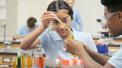 Middle School Science Lab, Science Lab Experiments, School Science Experiments, School Science Projects, Scientific Thinking, Middle School Science Experiments, High School Science, Science Lab, Cool Science Experiments