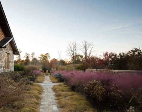 Perennial Gardens, Pink Grass, Piet Oudolf, Landscape Gardening, Dream Landscape, Meadow Garden, Minimalist Garden, Grasses Landscaping, Public Garden