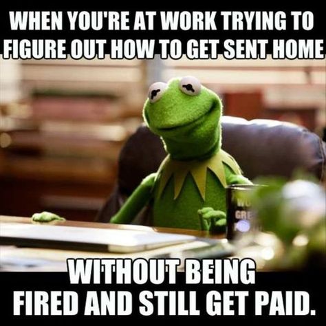 60 Funny Pictures For Today (#158) Funny Kermit Memes, Kermit Memes, Workplace Memes, Kermit Funny, Job Humor, Workplace Humor, Work Quotes Funny, Funny Work, Work Jokes