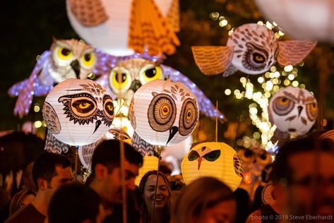 Lantern Parade Diy, Paper Lantern Owl, Lantern Walk, Paper Lantern Making, Lantern Parade, Lantern Making, Puppetry Theatre, Owl Lantern, Walk Ideas