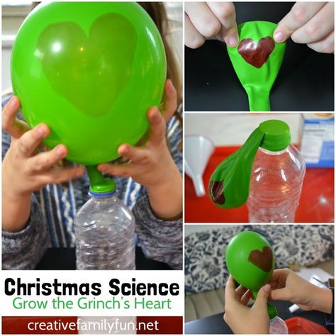 Grow the Grinch's heart with this fun Christmas science activity based on this favorite book. It's a STEM activity with a Christmas twist. Grinch Classroom, Grinch Activities, Kindergarten Enrichment, Christmas Science Activities, Christmas Stem Activities, Homeschool Christmas, Christmas Science Experiments, Grinch Heart, Grinch Crafts