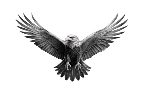 Eagle Open Wings Tattoo, Eagle Landing Tattoo, Eagle Knee Tattoo, Eagle Throat Tattoo, Eagle Tattoo Back, Eagle Tattoo Chest, Eagle Tattoo Men, Black Eagle Tattoo, Eagle Tattoo Design