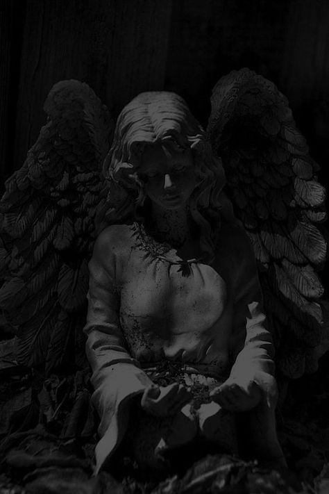 Trippy Aesthetic, Angel Statue, Gothic Aesthetic, An Angel, The Middle, Angel, Statue, Art