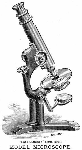 Model microscope Vintage Microscope, Chemistry Art, Pharmacy Design, Object Drawing, Microscopes, Antique Illustration, Time Tattoos, Hippie Art, The Model