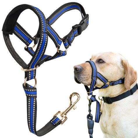 Dog Head Collar, No Pull Stylish Head Halter for Heavy Pullers, Gentle Dog Face Harness Stops Pet Pulling and Choking on Walk Face Harness, Crate Training Dog, Aggressive Dogs, Rich Dog, Dog Training Equipment, Dog Training Classes, Aggressive Dog, Dog Biting, Dog Training Collar