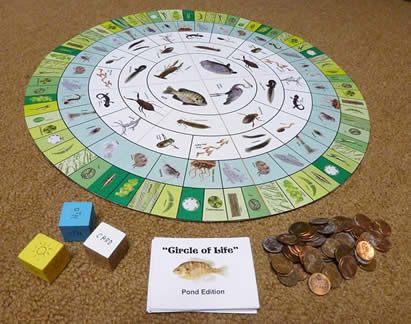 “Circle of Life: Pond Edition” – Ellen McHenry's Basement Workshop Unit Study Ideas, Food Webs, Pond Animals, Basement Workshop, Aquatic Birds, Memory Match Game, Study Resources, Pond Life, Study Ideas