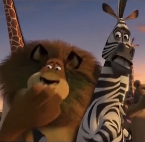 Madagascar Cursed Pictures, Madagascar Movie Funny, Madagascar Meme, Alex Madagascar, Madagascar Fanart, Response Memes, Il Re Leone, Current Mood Meme, Crazy Funny Pictures