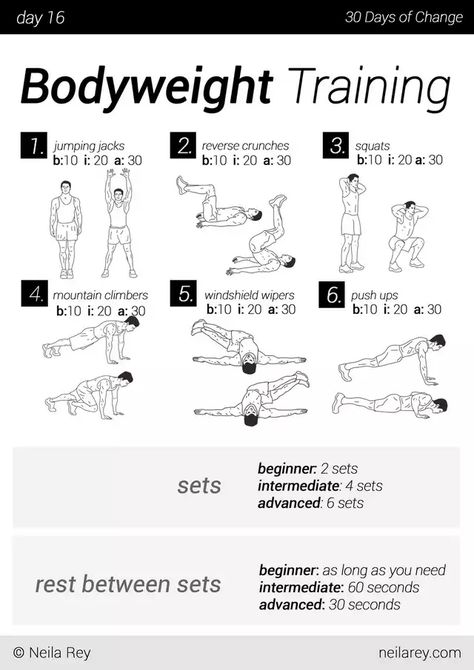 No equipment 30 day workout program - Imgur Arm Workout Women No Equipment, Mens Cardio Workout, Best Beginner Workout, Neila Rey, Change Challenge, Workouts Without Equipment, Weight Equipment, At Home Workouts For Women, Arm Workout Women