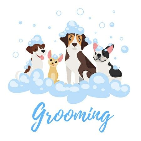 Pet Grooming Business, Pet Shop Logo, Soap Foam, Oxford Mississippi, Pet Grooming Salon, Online Logo Design, Pet Clinic, Pet Cleaning, Dog Years