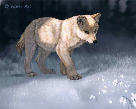 Wolf Pup Art, Werewolf Pup, Wolf Art Fantasy, Anime Wolves, Wolf Puppy, Anime Wolf Drawing, Canine Drawing, Wolf Character, Wolf Pup