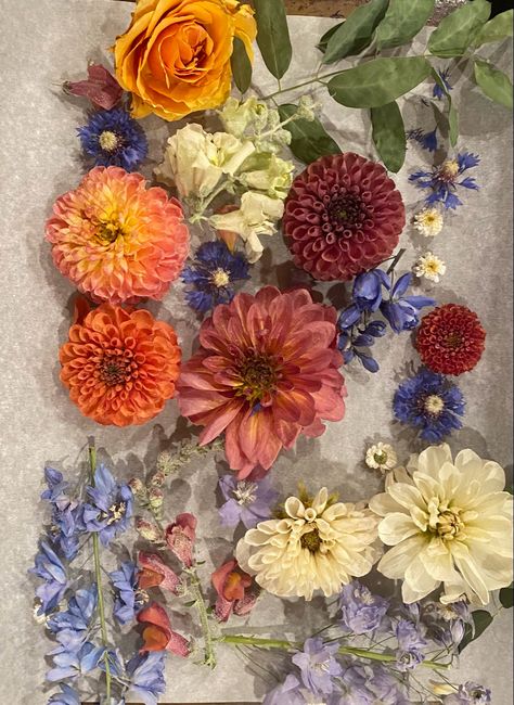 #wedding #flowers #driedflowers #bouquet  #silicagel #dahlia #augustwedding #blue #orangeflowers #posies #shadowbox August Wedding, Silica Gel, Orange Flowers, Dahlia, Shadow Box, Dried Flowers, Wedding Flowers, Flowers, Blue