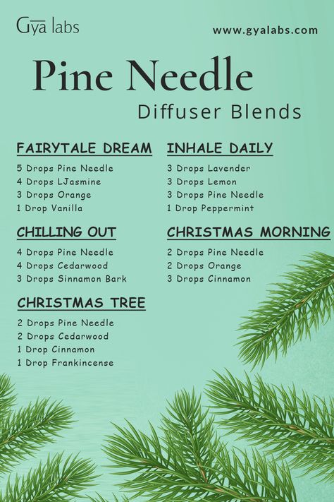 A bottle of Pine Needle Essential Oil Blend with pine cones and needles in the background. Pine Oil Diffuser Blends, Pine Oil Blends, Essential Oils Christmas Blends, Pine Needle Diffuser Blends, Pine Essential Oil Benefits, Pine Diffuser Blend, Woodsy Essential Oil Blend, Fir Needle Diffuser Blend, Pine Essential Oil Blends