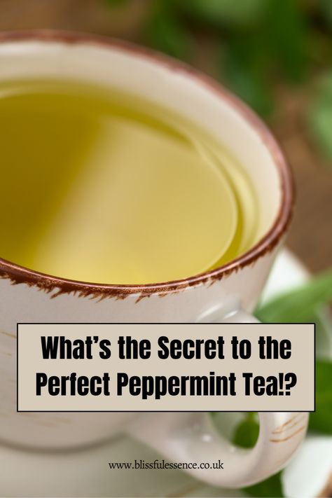 Guys, I just stumbled upon this amazing blog post about mastering the PERFECT cup of peppermint tea – and I had to share it with you! It's packed with useful tips and tricks for maximum flavour, and it has made all the difference to my tea-drinking experience. From choosing the best leaves to brewing time secrets, this guide covers it all. Save this pin and try it next time you're craving some peppermint goodness! Your tastebuds will thank you. #PeppermintTea #Tea Peppermint Leaves, Peppermint Tea, Tea Tasting, Fresh Mint Leaves, Ginger Tea, Herbal Blends, Flavored Tea, Natural Sweeteners, Useful Tips