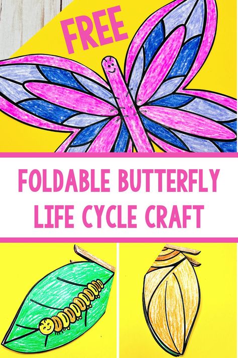 Are your students learning about the life cycle of a butterfly? If so, this printable butterfly life cycle worksheet is a fun activity for kids. The foldable page shows all four stages of the life cycle: eggs, caterpillar, chrysalis, and butterfly. Color it in, cut it out, and fold it on the lines. It's an easy way to show how butterflies grow and change as they go through metamorphosis. There are also recommendations for children's books about butterflies and other educational activities. Metamorphosis Preschool Activities, Life Cycle Of A Butterfly Anchor Chart, Butterfly Lifecycle Printable, Caterpillar To Butterfly Craft, Life Cycle Of A Butterfly Craft, Butterfly Projects For Kids, Butterflies Kindergarten, Butterfly Life Cycle Foldable, Butterfly Activities For Kids