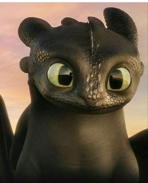 Hiccup From How To Train Your Dragon, How To Train Your Dragon Night Fury, How To Train Your Dragon Toothless, Httyd 1 Toothless, How To Train Your Dragon Drawings, Toothless Dragon Drawing, Toothless Cute, Toothless Being Cute, Disney Characters Elsa