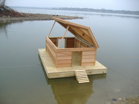 Floating Duck House, Duck House Diy, Duck House Plans, Duck Houses, Duck Pens, Goose House, Insulated Dog House, Backyard Ducks, Duck Coop