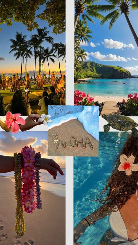 #hawaii #hawaiiaesthetic #flower #aloha Vision Board Hawaii, Asethic Lifestyle, Hawaii Vacation Aesthetic, Hawi Hawaii, Hawaiian Pictures, Hawaii Aesthetic, Hawaii Christmas, Vision Board Examples, Moving To Hawaii