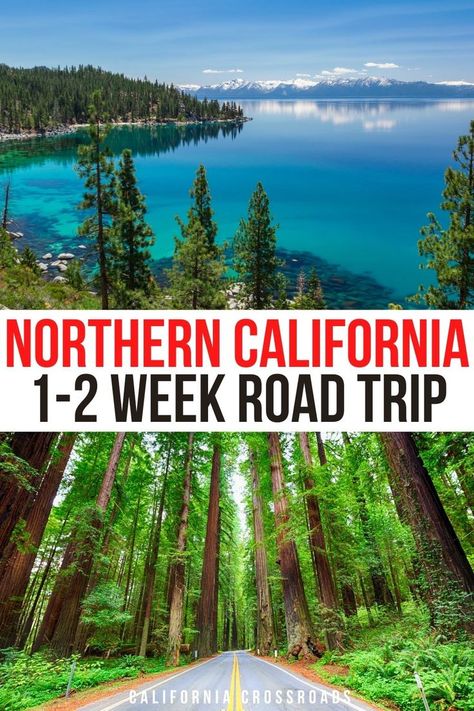 photo of Lake Tahoe landscape and photo of the trees surrounding the avenue of the giants on highway 101. text reads Northern California 1-2 week road trip California Itinerary, Road Trip Stops, Northern California Road Trip, Pacific Coast Road Trip, California Road Trip Itinerary, Volcanic Landscape, Northern California Coast, California Coast Road Trip, Burney Falls