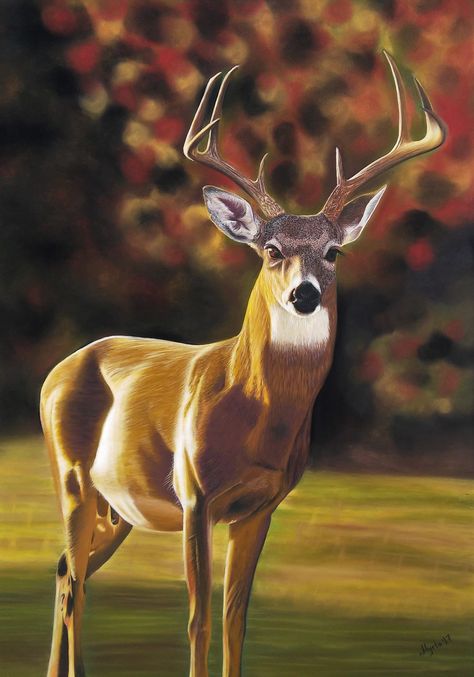 Original pastel drawing of a deer enjoying the warm sun! Ideal for any nature lover! Deer Original Artwork. Original Pastel Art Of A Deer In Sunset Colors! Bird Landscape, Deer Artwork, Woodland Animal Art, Deer Pictures, Pinterest Art, Deer Painting, Deer Art, Animal Wildlife, Original Pastel