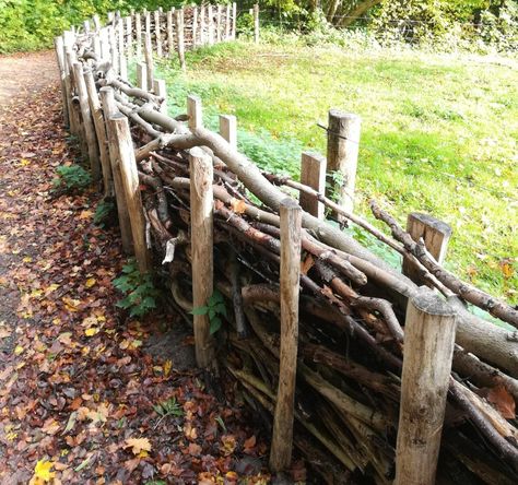 Rustic Fence, Natural Fence, Back Porch Ideas Covered, Bed Diy, Back Porch Ideas, Furniture Bed, Woodland Garden, Wooden Fence, Anna White