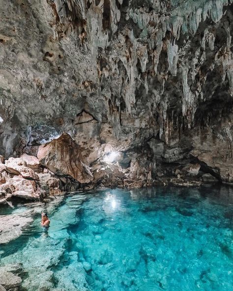 Found ourselves a rather unexpected cenote today! (Except, I’m pretty sure they’re not called ‘cenote’s here 😄). Best part is that you can actually go for a swim in its crystal clear waters. Places Photography, Bohol Philippines, Cozy Places, Sea Aesthetic, Puerto Princesa, Bohol, Philippines Travel, Phuket Thailand, Travel Time