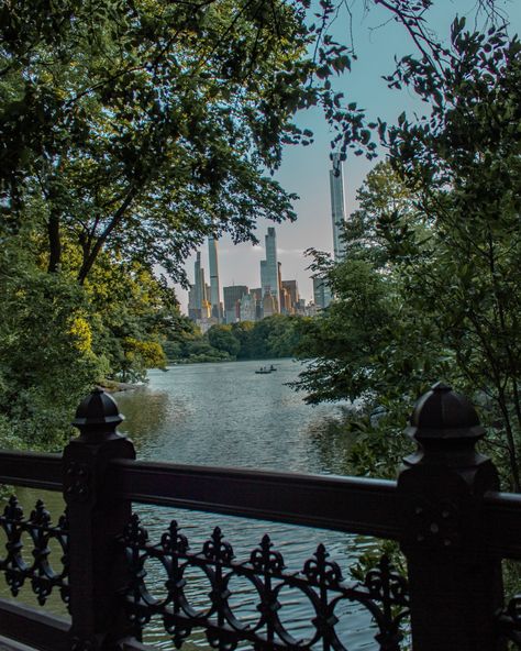 Fragments from Central Park. ⠀⠀⠀⠀⠀⠀⠀⠀⠀⠀⠀⠀ ⠀⠀⠀⠀⠀⠀⠀⠀⠀⠀⠀⠀ ⠀⠀⠀⠀⠀⠀⠀⠀⠀⠀⠀⠀ ⠀⠀⠀⠀⠀⠀⠀⠀⠀⠀⠀⠀ ⠀⠀⠀⠀⠀⠀⠀⠀⠀⠀⠀⠀ ⠀⠀⠀⠀⠀⠀⠀⠀⠀⠀⠀⠀ ⠀⠀⠀⠀⠀⠀⠀⠀⠀⠀⠀⠀ ⠀⠀⠀⠀⠀⠀⠀⠀⠀⠀⠀⠀ ⠀⠀⠀⠀⠀⠀⠀⠀⠀⠀⠀⠀ #centralpark #centralparknyc #manhattan #newyork #nyc #newyorkcity #placestovisit #placestogo #nycphotographer #nycphotography #summer #nyc2024 #2024 Central Park Manhattan, New York Travel, Central Park, Manhattan, York City, New York City, New York, Travel, Quick Saves