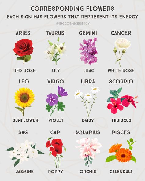 Flower For Virgo, Picies Zodiac Tattoo Flower, Flowers For Zodiac Signs, Horoscope Flowers Tattoo, Zodiac Flowers Birth Month, Zodiac Signs As Flowers, Zodiac Signs Flowers, Astrology Flowers, Taurus Birth Flower