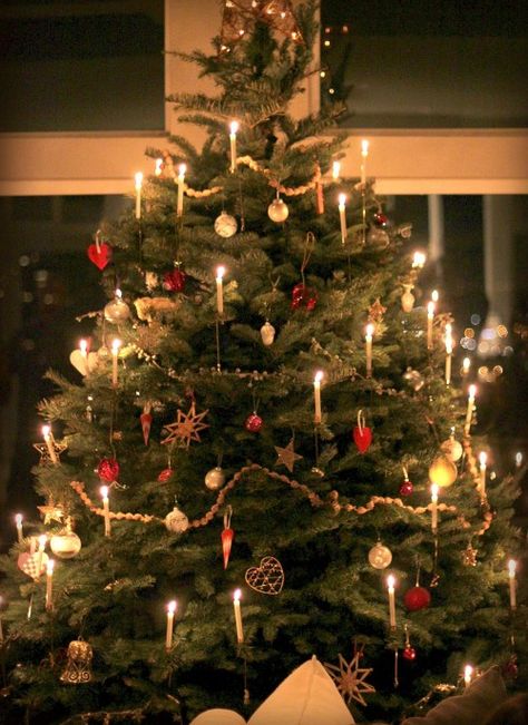 This tree looks a lot like ours, we put real candles on it every year Old Fashioned Christmas Tree, Old Fashion Christmas Tree, Norwegian Christmas, Christmas Tree Lots, Dark Christmas, Christmas Tree Candles, Cosy Christmas, Black Christmas Trees, Christmas Feeling