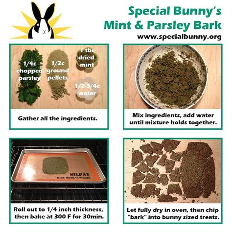 Bunny treats! Bunny Treats Recipes, Homemade Rabbit Treats, Pet Rabbit Care, Little Bunny Foo Foo, Rabbit Farm, Rabbit Treats, Diy Bunny, Raising Rabbits, Pet Bunny Rabbits