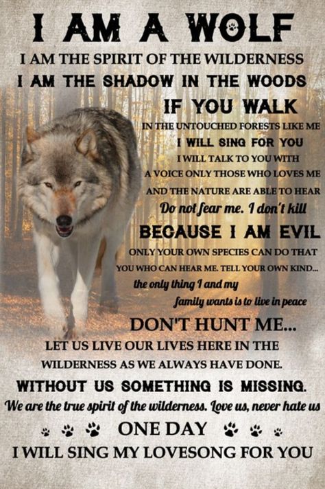 Quotes With Wolves, Wolf Sayings, Advice From A Wolf, Wolf Pack Quotes, Wolf Quotes Strength Inspirational, Wolf Love Quotes Relationships Wolves, Wolves Quotes Spirit Animal, Inspirational Animal Quotes, Lone Wolf Quotes