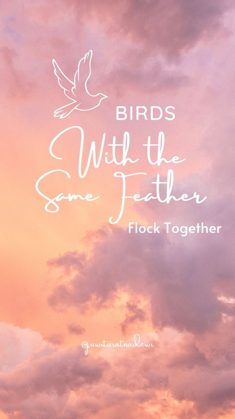 Quotes of life Birds Of The Same Feather Quotes People, Birds Of The Same Feather Flock Together, Birds Of A Feather Flock Together Quote, Feather Quotes, Groups Of People, Apj Quotes, Together Quotes, Calligraphy Drawing, Cheating Quotes