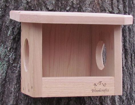 Ladybug House, Bird House Plans Free, Backyard Birds Sanctuary, Squirrel Feeders, Birdhouses Bird Feeders, Homemade Bird Houses, Bird Houses Ideas Diy, Bird House Feeder, Butterfly Houses