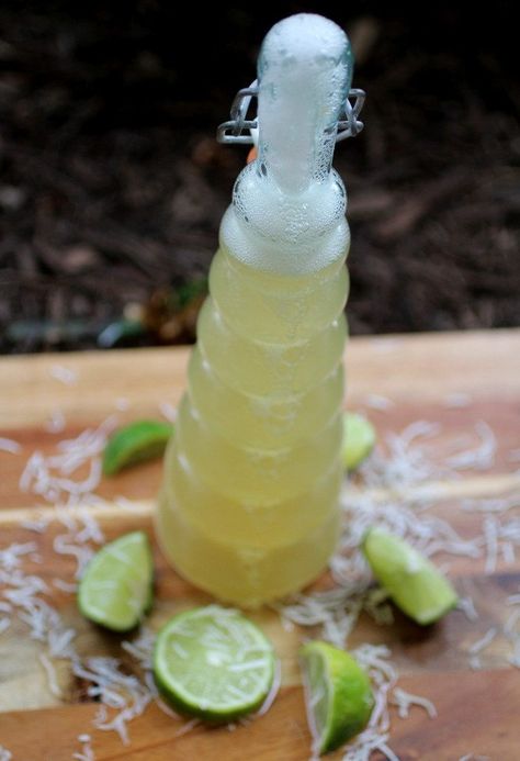 Coconut Lime Green Tea Kombucha Second Ferment Kombucha, Kombucha Flavors Recipes, Green Tea Kombucha, Fruity Drink Recipes, Kefir Drink, Kombucha Flavors, Cultured Food, Green Tea Drinks, Homemade Kombucha