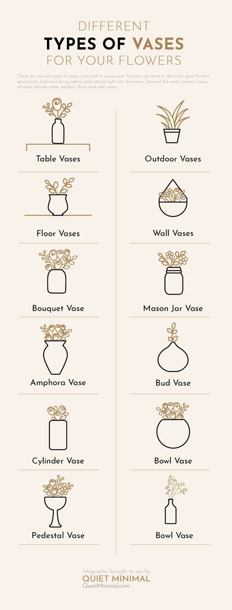 Cute Room Inspo Minimalist, Home Decor Infographic, Types Of Vase, Types Of Vases Shape, Vase Types, Types Of Interior Design Styles, Interior Design Basics, Flowers To Grow, Interior Design Principles