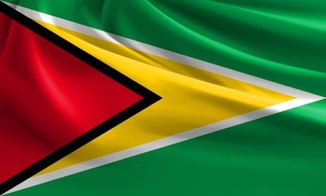 Guyana flag Kaieteur Falls, Guyanese Flag, Flag Gif, Western Visayas, Guyana Flag, Cellphone Wallpaper Backgrounds, Flags Of The World, Flag Colors, Happy Independence Day