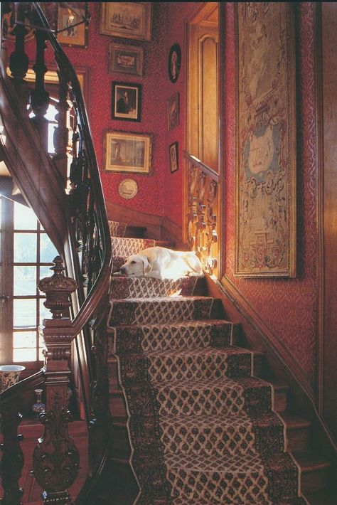 Literature Decor, Interior Art Deco, Houses Inside, Victorian Literature, House Victorian, Victorian Interior Design, Victorian Home Interior, Modern Gothic, Victorian Interior