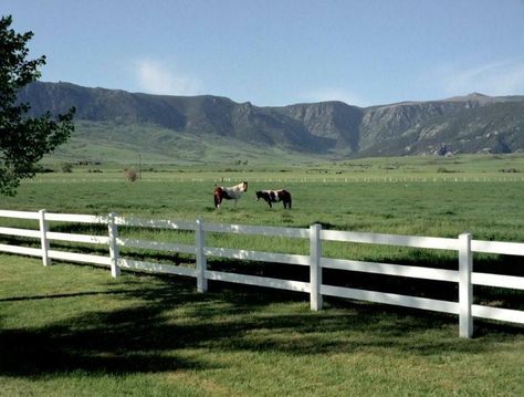 horse ranch in wyoming... mountain views, trees, water.... Horse Ranches, Water Horse, Sheridan Wyoming, Ranches For Sale, Love Horses, Horse Ranch, Ranch Life, When I Grow Up, Mountain Views