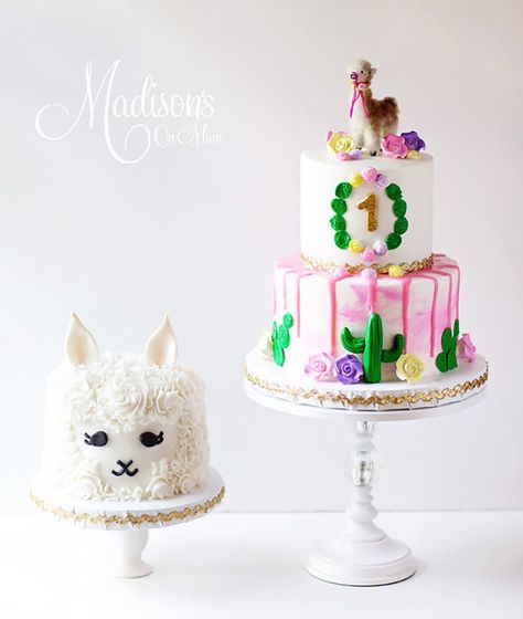 🎀Cutest ‘lil Llama Smash Cake by @madisonsonmaincakes 🎀 Phot Llama First Birthday Cake, Llama Smash Cake, Llama First Birthday, First Fiesta, Base Cake, Cake Smash Inspiration, Llama Birthday, Cactus Party, First Birthday Party Themes