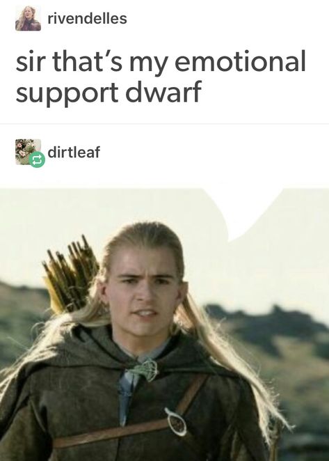 Legolas and Gimli meme Lotr Gimli, Lotr Legolas, Legolas And Gimli, The One Ring, Legolas And Thranduil, Lotr Funny, Into The West, The Shire, Fellowship Of The Ring