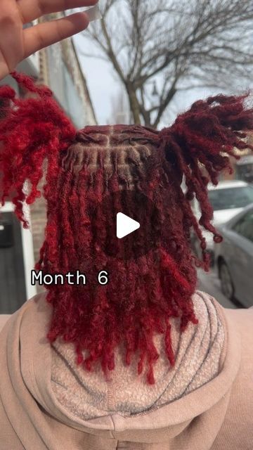 Hair Fashion/Discussions on Instagram: "This snapped??? Starter locs journey in months😍❤️ 🔥 👉  ______👉 Follow, @letstalkhairspromotes dopest hairstyles, hair fashion and discussions  📩DM FOR DIFFERENT PROMO /ADS PACKAGES AVAILABLE ______________________  ✂️Featured stylist: @loccedinbypanda 📍: Boston, MA  DM HER👆 FOR THIS STYLE ______________________   IGNORE  #braids #braidstyles  #hair  #naturalhairstyles #locs    #knotlessbraids #locstarters    #locretwist  #feedins   #protectivestyles  Boston Locs Boston locstylist  #letstalkhairs #letstalkhairsbostonlocs" Palm Rolled Starter Locs, Starter Locs With Curly Ends, Starter Locs Journey, Red Locs Black Women, Starter Locs Styles, Locs Journey, Starter Locs, Box Braids Hairstyles For Black Women, Hair Therapy