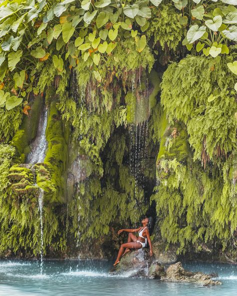 Krause Springs: One of the Best Swimming Holes in Texas - readysetjetset Krause Springs, Texas Swimming Holes, Nyc Rooftop, Best Rooftop Bars, Skyline View, Texas Travel, Swimming Holes, Texas Hill Country, Travel Tours