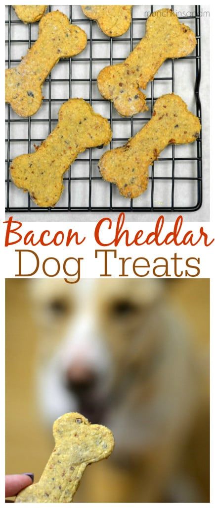 Homemade Pet Treats, Dog Biscuit Recipes, Illustration Dog, Dog Treats Homemade Recipes, Food Dog, Diy Dog Treats, Food Homemade, Puppy Treats, Dog Cookies