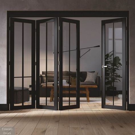 Door Design Sliding, Folding Door Design, Sliding Door Room Dividers, Crittal Doors, Glass Room Divider, Sliding Folding Doors, Black Rooms, Sliding Door Design, Roof Lantern