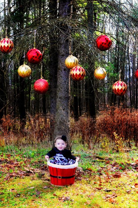 Sled Photoshoot, Christmas Photography Ideas, Outdoor Christmas Photos, Hometown Christmas, Christmas Lights Outside, Baby Christmas Photos, Christmas Beach, Christmas Sled, Hanging Christmas Lights