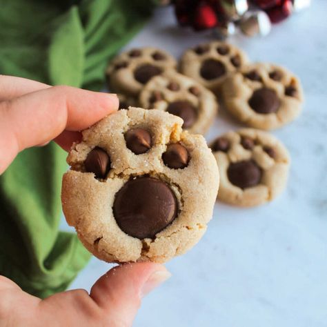 Paw Print Peanut Butter Blossom Cookies - Cooking With Carlee Bear Paw Print Cookies, Nutter Butter Cookies Ideas, Peanut Butter Bear Paw Cookies, Peanut Butter Paw Cookies, Bear Paw Peanut Butter Blossom Cookies, Paw Print Peanut Butter Blossoms, Puppy Paw Cookies, Dog Paw Print Cookies, Peanut Butter Paw Print Cookies