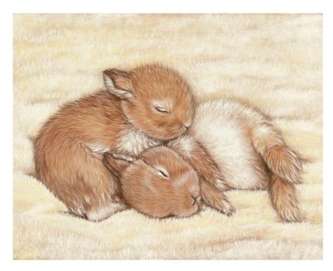 warm!!! Drawing Bunnies, Drawing Therapy, Sleeping Bunnies, Bunny Illustration, Sketch Reference, Pan Pastels, Sleeping Bunny, Bunny Drawing, Pastel Paintings